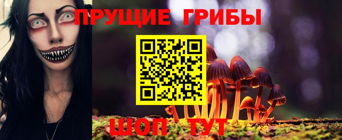 Галлюциногенные грибы Psilocybine cubensis  Вход с VPN  Карпинск  Псилоцибиновые грибы Cubensis 